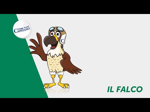 Siamo tutti Capitano - Il Falco