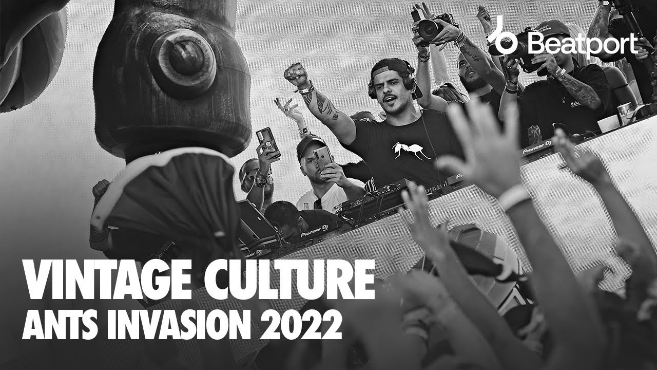 Vintage Culture - ANTS