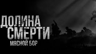 ДОЛИНА СМЕРТИ. Мясной Бор | страшные истории | ужасы | мистика