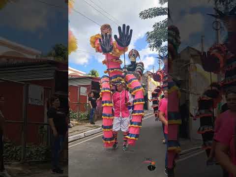 Fiestas Patronales del distrito de Guadalupe; San Vicente.