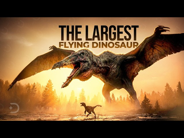 Quetzalcoatlus Wasn't Even Close to the Biggest SDDEFAULT Thumbnail