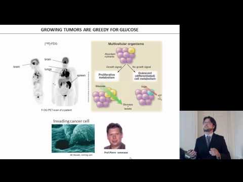 P. PORPORATO: ROLE OF MITOCHONDRIAL SUPEROXIDE...