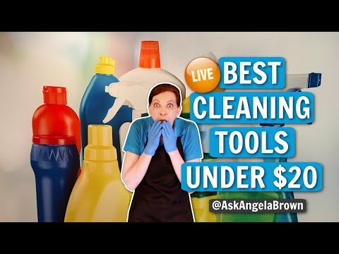 Best Cleaning Tools Under $20
