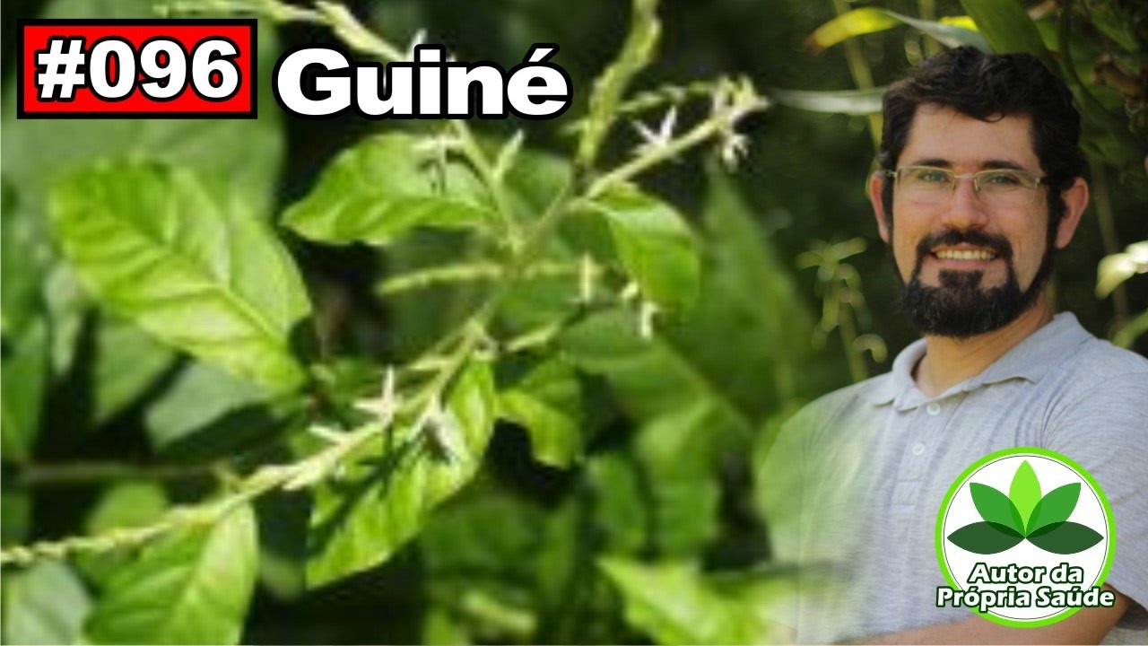 Autor da Própria Saúde – Guiné [Dor de cabeça, dor de dente, diabetes, calmante]