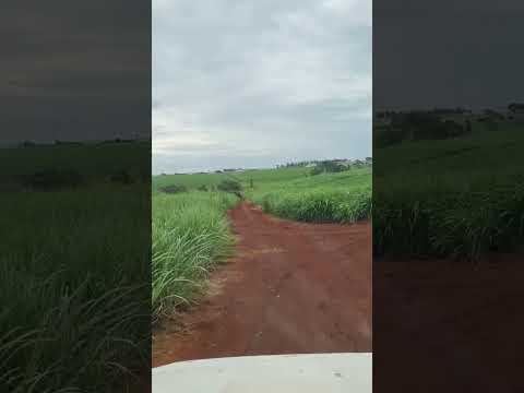 bandeirantes Paraná