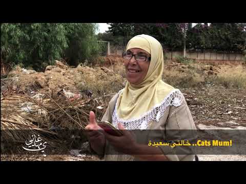 Cats Mum ! خالتي سعيدة