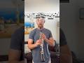 Some music from the Terminal #clarinetist #clarinet #johnwilliams #moviemusic