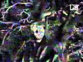 Flatlinerz Live Evil
