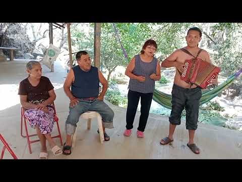 La Puerta Negra 🎶 Echando Acordeonazos con mi Mamá en El Machito , Cocula , Guerrero