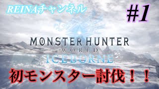 [MHWモンハン　アイスボーン]アイスボーン買ったよ！！