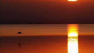 The Shining Of The Sun