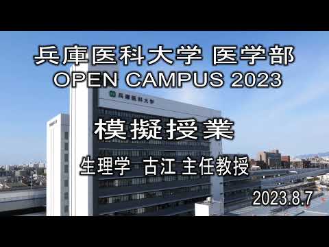看護学科 【兵庫医科大学】模擬授業「感覚の神経伝達機構-脳から見た感覚の不思議と痛み-」（医学部 OPEN CAMPUS 2023）