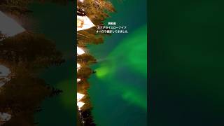 #オーロラ #カナダ #海外旅行 #vlog #nothernlights