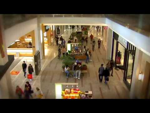 Seattle Southside Business Profile - Andrew Ciarrocchi