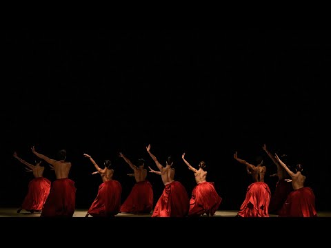 CLOSE-UP: Wings of Memory - Bella Figura