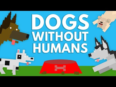 What Happens To All The Dogs If Humans Disappear?