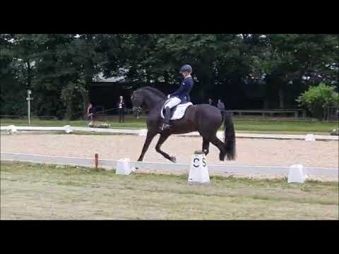 Secret von Sezuan - Turnier 2020