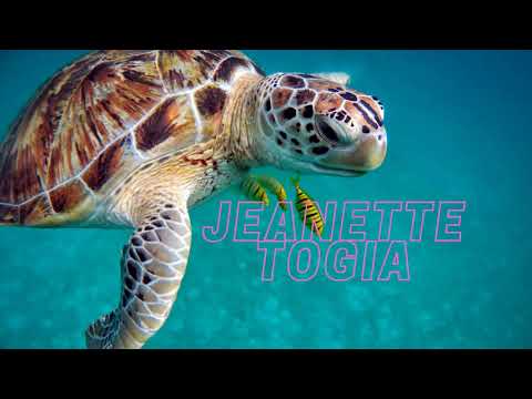 Taane Niue, Fifine Niue - Jeanette Togia