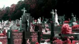 Master's Hammer - Vracejte konve na místo