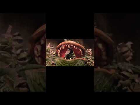 Is this leaf eating someone?