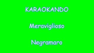 Karaoke Italiano - Meraviglioso - Negramaro (Testo)