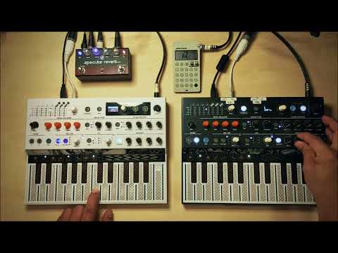 More Space for my Music (Scaled Sequence Play + 2. Microfreak)