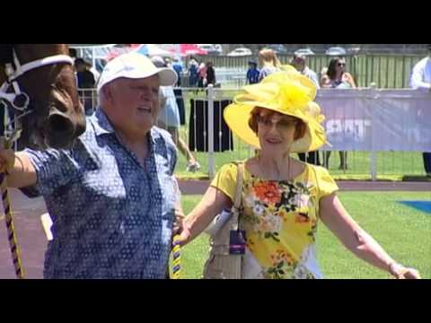 Ascot, 2/01/2016 - Race 1 - VEGA MAGIC - Sean Casey & Jake Casey