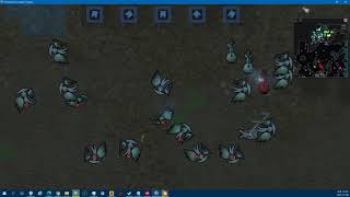 Video 8
