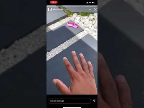 Pelea de Rey Charlie