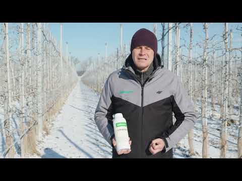 StimEfekt – biostymulator, który ratuje uprawy po zimie! ❄️