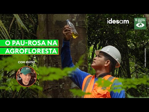 https://www.youtube.com/watch?v=noqBpQv2U_8