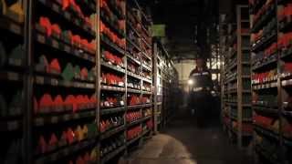 Miniature de la vidéo