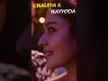 CHALEYA X HAYYODA JAWAN ANIRUDH SHAH RUKH KHAN Shorts Hindi Chaleya Hayyoda Anirudh