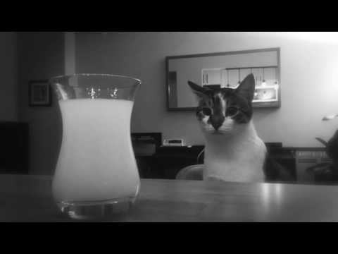 Sedef Sebüktekin - Hayalin Kadar