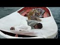 Pi Vs Tiger Pi Attacked By Tiger Life Of Pi 2012 Movie CLIP HD