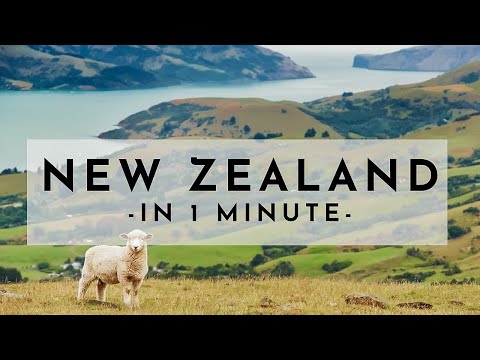 New Zealand in 1 Minute