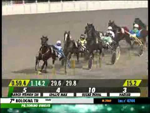 12/12/2013, Bologna , Premio Torino Vinovo C.naz.