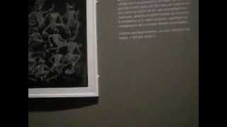 CHIEF IN NEW CALEDONIA