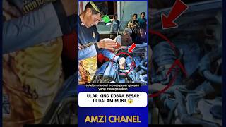 Download lagu King Cobra Enters Car mp3 Download lagu King Cobra Enters Car mp3