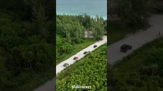 Carnival Adventures – Freeport #shorts