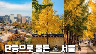 서울 도심 단풍 명소 BEST 3 🍁 가을에 가장 예쁜 길 3곳 #카페추천