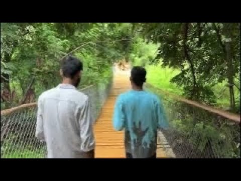 Lovekush watika Udaipur 🌳🌴⛰️ #udaipur #travel #udaipurtourism #nature #youtubevideo #wildlife