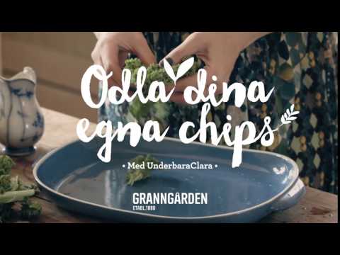 Odla dina egna grönkålschips