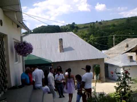 Formatia PRO-TAZ-MUZIK nunta Racaciuni PTM3