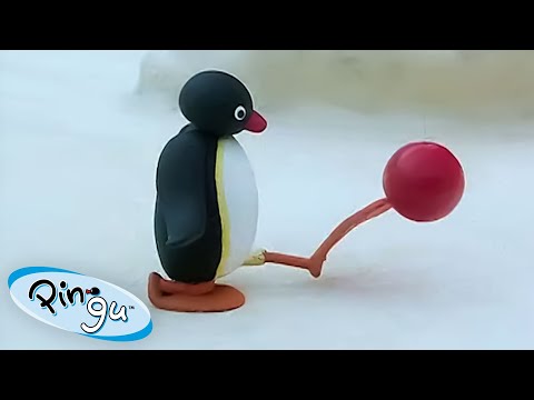 Pingu and the Championship Cup 🏆🐧 | Pingu - Official Channel | Cartoons For Kids
