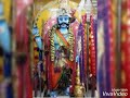 Vettai Nayum Ayya Song
