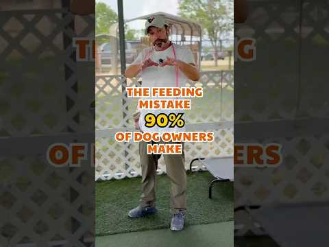 Eliminate Food Aggression & Picky Eating by Feeding Dogs in Kennels