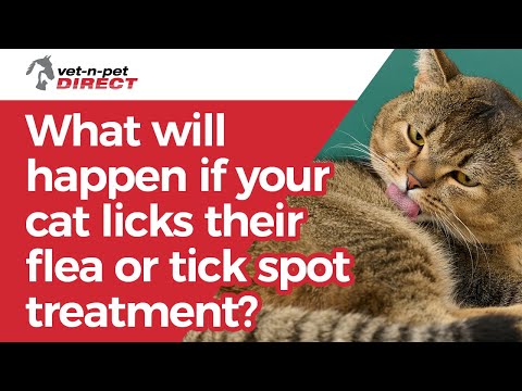 What will happen if your cat licks their flea or tick top spot treatment?