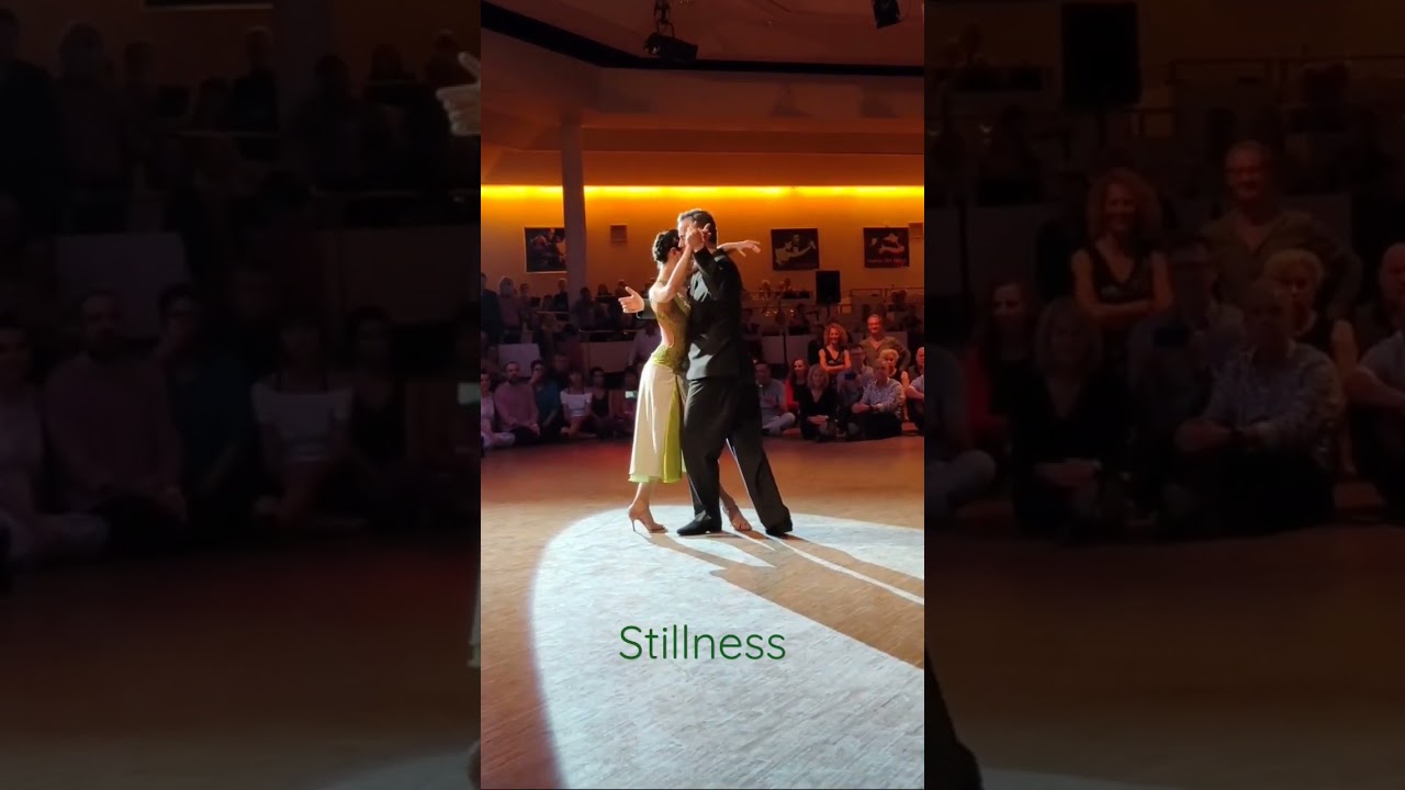 Stillness: with Silvina Tse and Murat Erdemsel