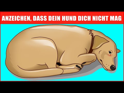, title : '14 Anzeichen dafür, dass Dein Hund Dich nicht liebt (auch wenn Du denkst, dass er es tut)'